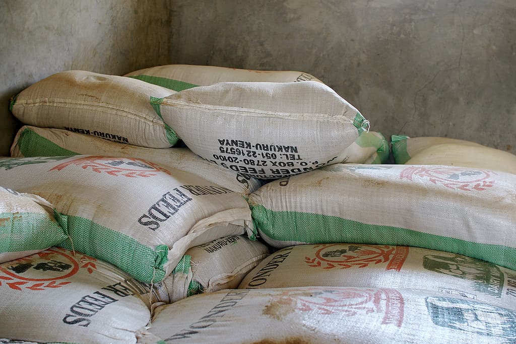 Government working to avail affordable dairy feeds to farmers