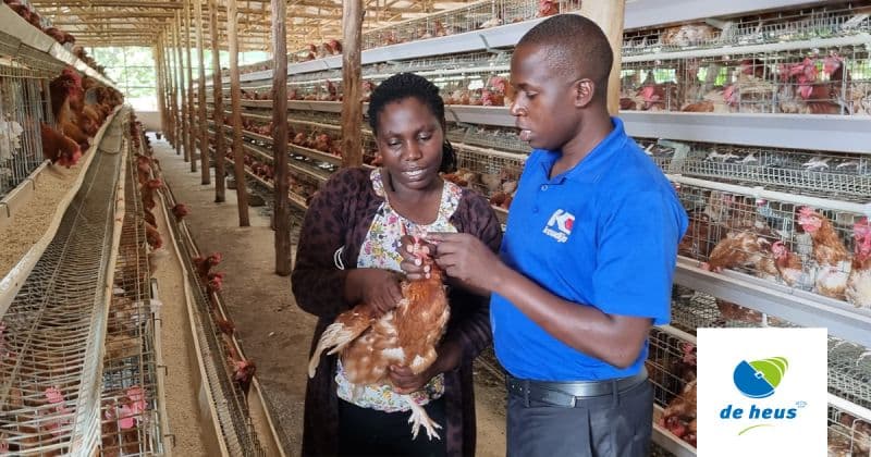 De Heus Animal Nutrition begins construction of Ksh. 3B animals feeds factory in Machakos