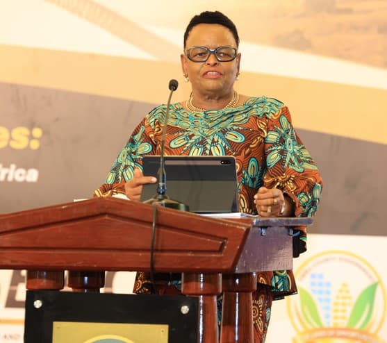 CJ calls for people-centred justice systems