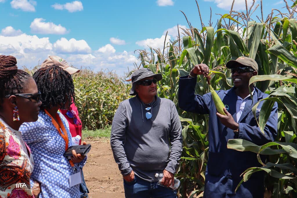 Roundup of agriculture jobs in Kenya– 13th January, 2025
