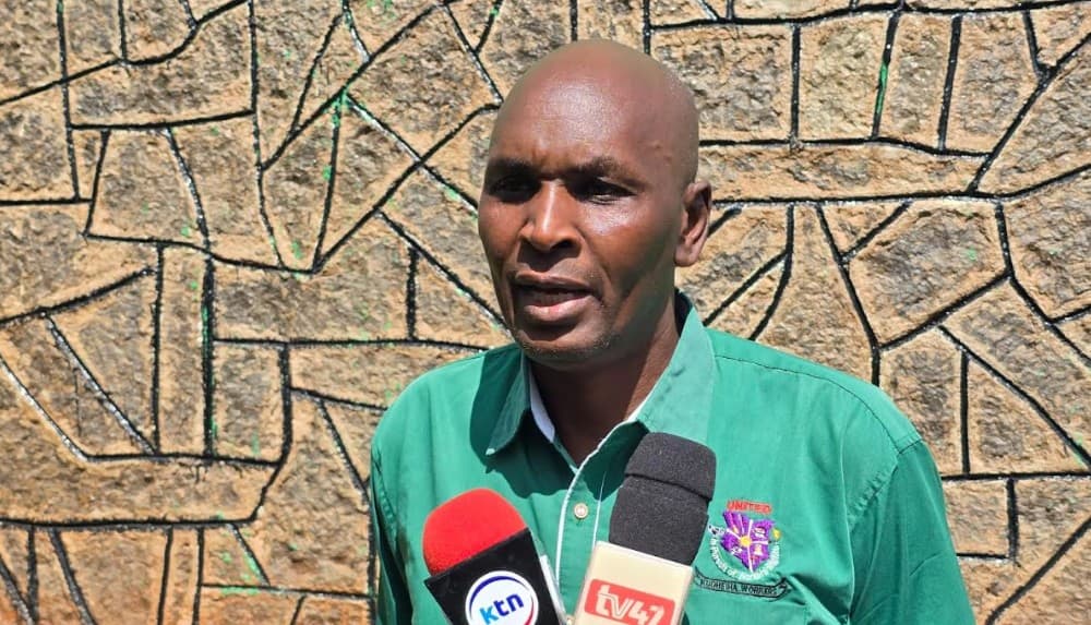 Union calls for robust safety measures in schools