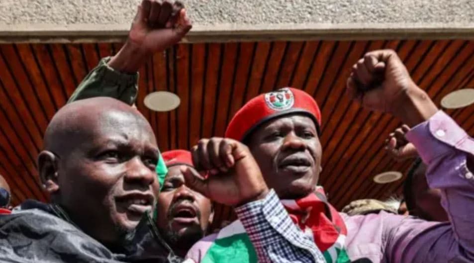 Activist Bob Njagi Links Kenya, Tanzania to Coordinated Arrests in Uganda