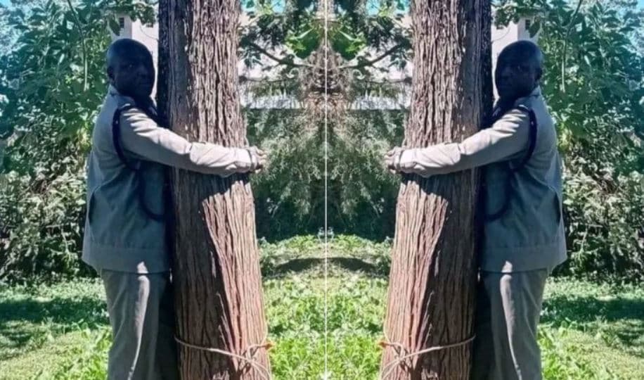 Police Boss Hospitalised After Tree-Hugging Incident at Kericho Station