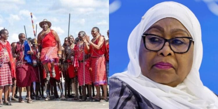 Global Outcry as Suluhu-Backed Commissions Endorse Eviction of Maasai From Ancestral Lands