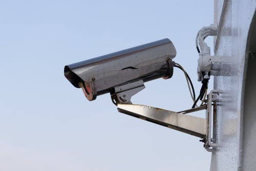 Journalist farmer pioneers CCTV-surveyed farming, reports jump in produce and connection