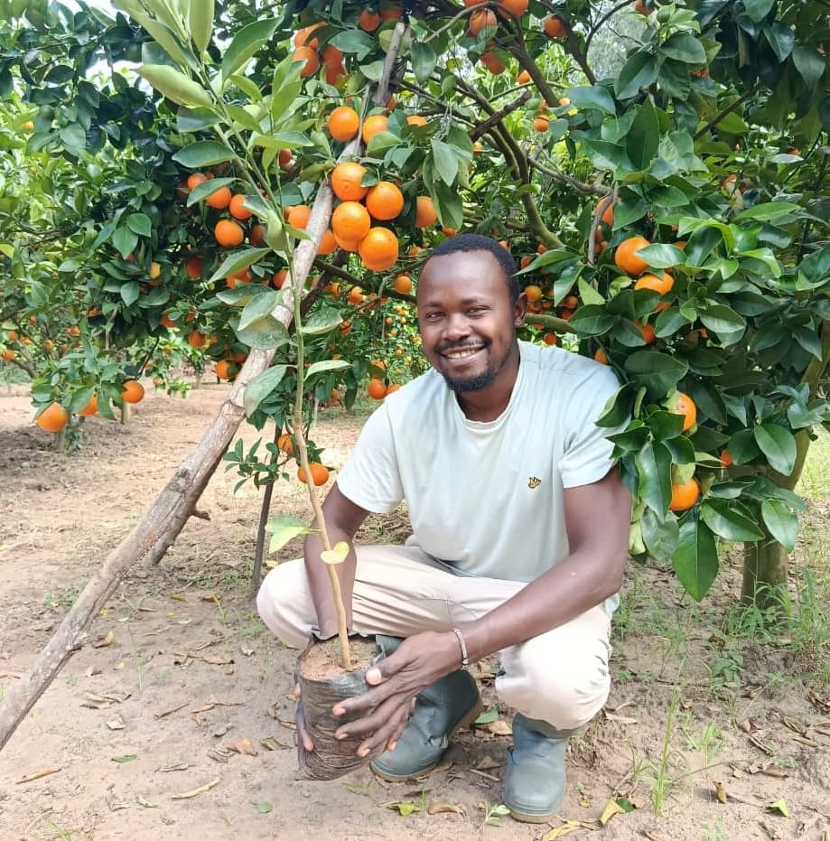 Makueni farmer uses seedling sales to build a citrus network