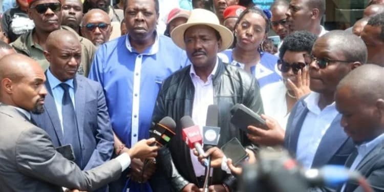 Kalonzo Faces Criticism Over Foreign Investment Stance