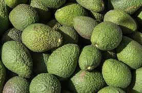 Kenyan avocados cleared to enter the expansive Chinese market