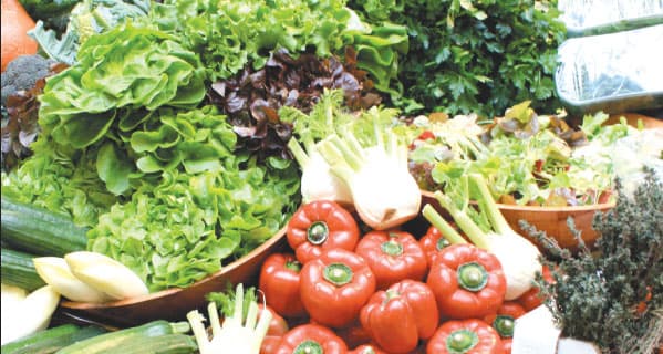 How farmers can avoid rejection of export horticultural produce