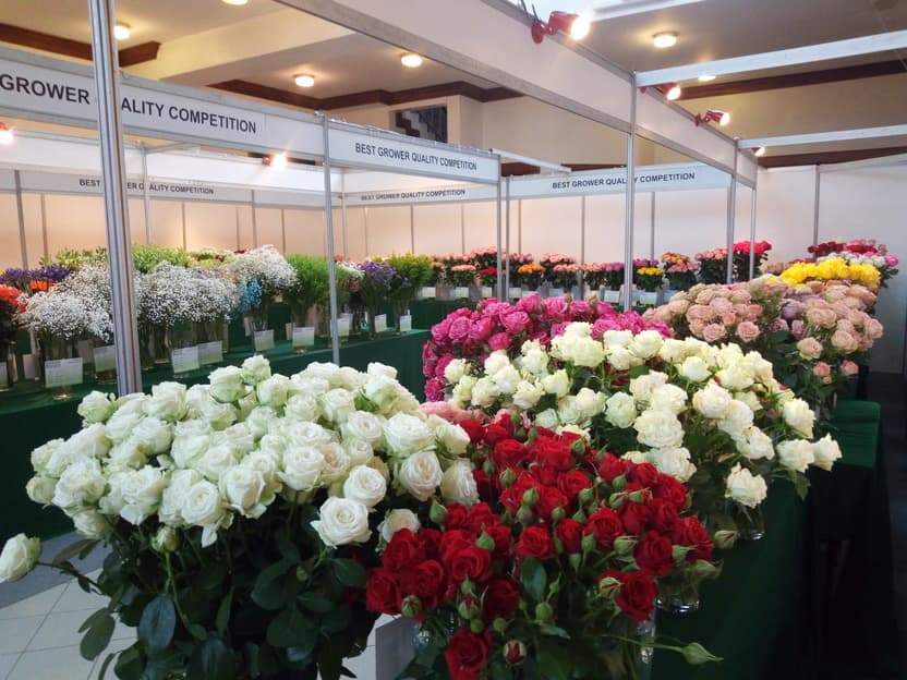 Why Kenyan flowers are doing well in the international markets despite the off-peak period