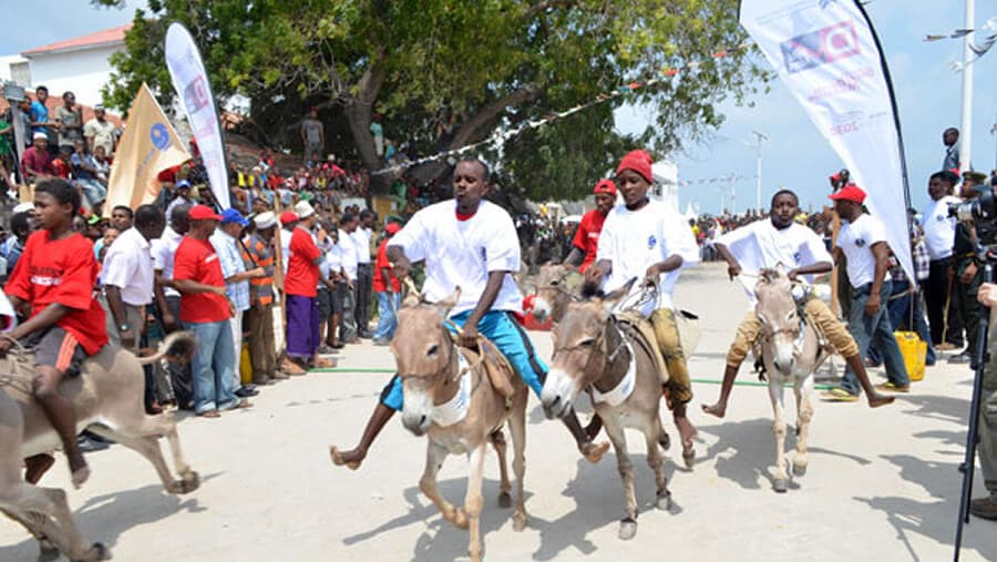 Lamu Cultural Festival 2025 to inject millions into local economy with 30,000 guests expected