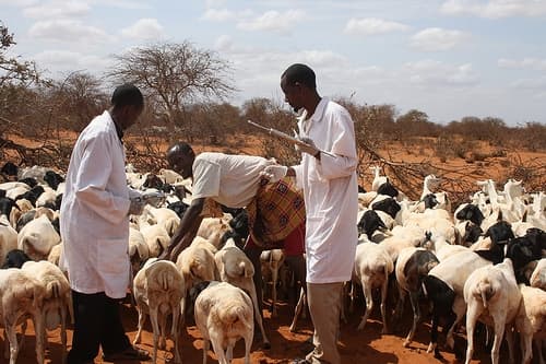 Tracing technology helps farmers beat stringent export requirements