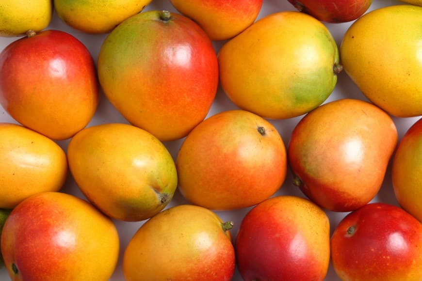 Mango processor buying produce from all-comers
