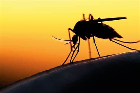 African economies could expand by $127 billion if malaria was cut by 90%