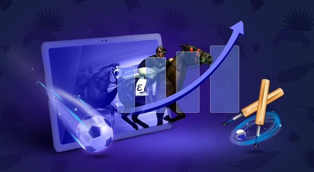 From White Label to Custom Solutions: What’s Best for Your Sports Betting Business?