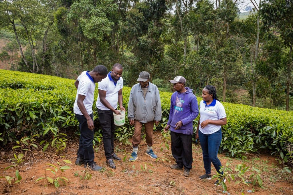 New international carbon credit market assist African farmers get loans