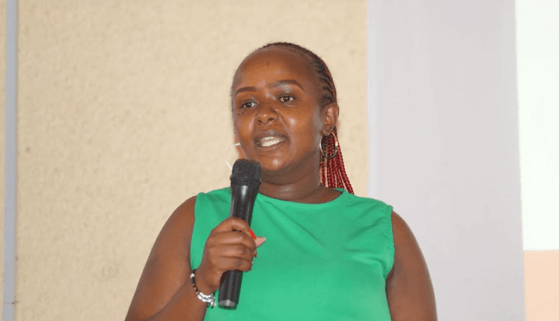 Accessible platforms key to inclusive democratic engagement