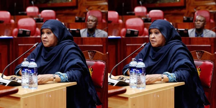 How Former MP Earned Master’s Degree Without Standard Bachelor’s Degree