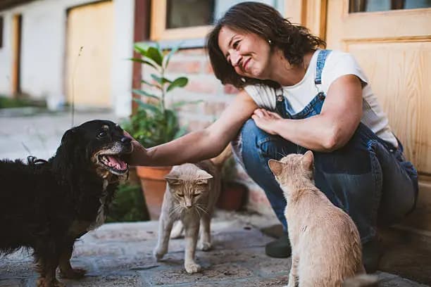 How to Introduce a Cat to a Dog