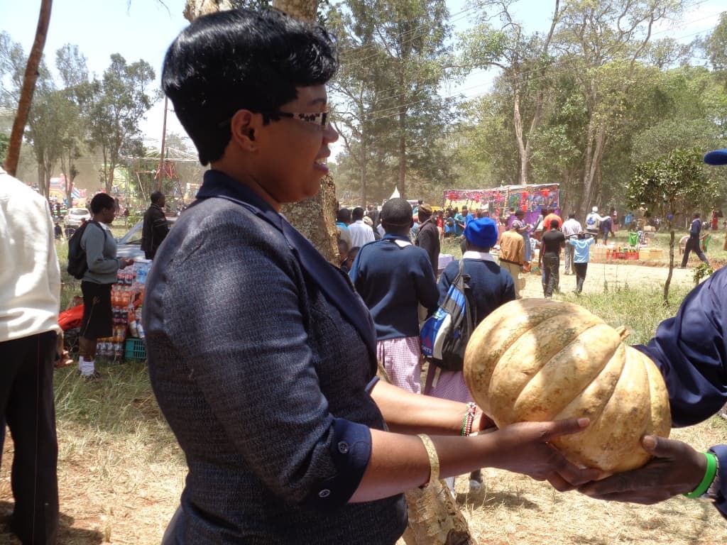 Giant Egyptian Pumpkin seeds available for farmers