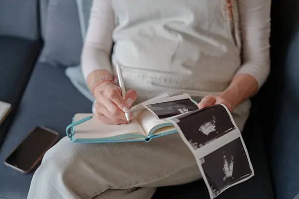 How to Read an Ultrasound Report for Gender