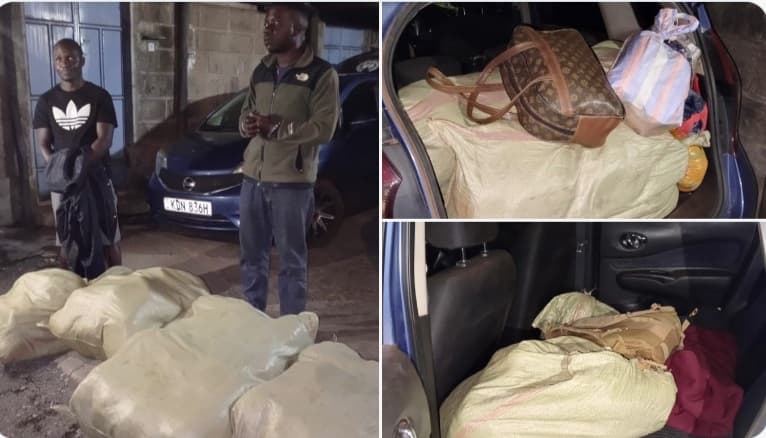 Two arrested, Ksh3.3M Cannabis seized along Eldoret-Nakuru highway