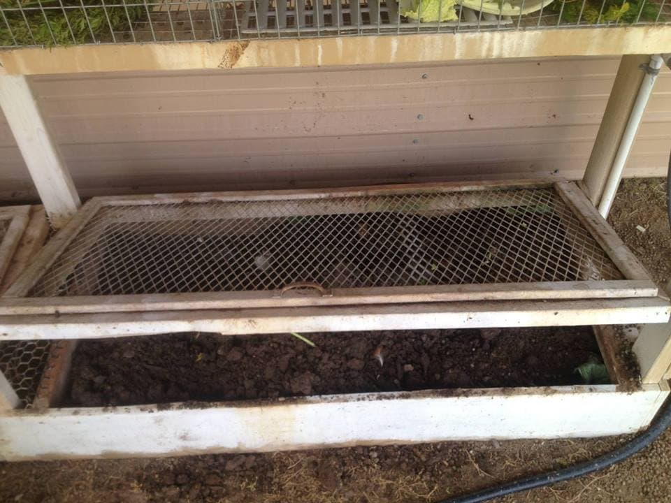 Earthworm obtained liquid offers more nutrients than inorganic fertilizer