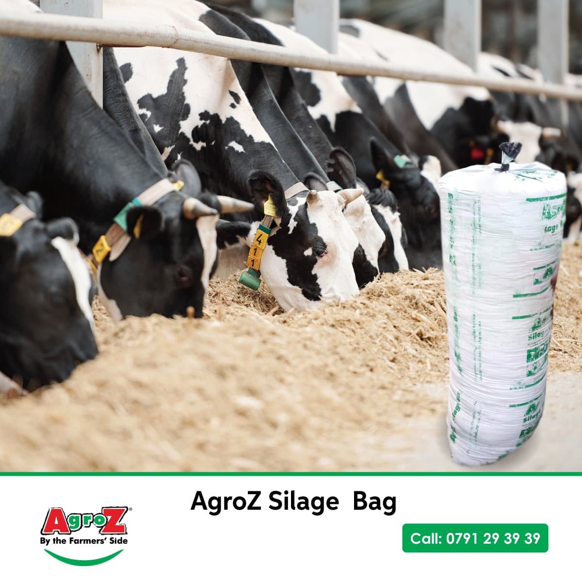 Silage bags give small scale farmers pasture for drought period