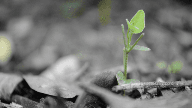 6 Simple Ways To Find And Maintain Hope When You’re Feeling Hopeless