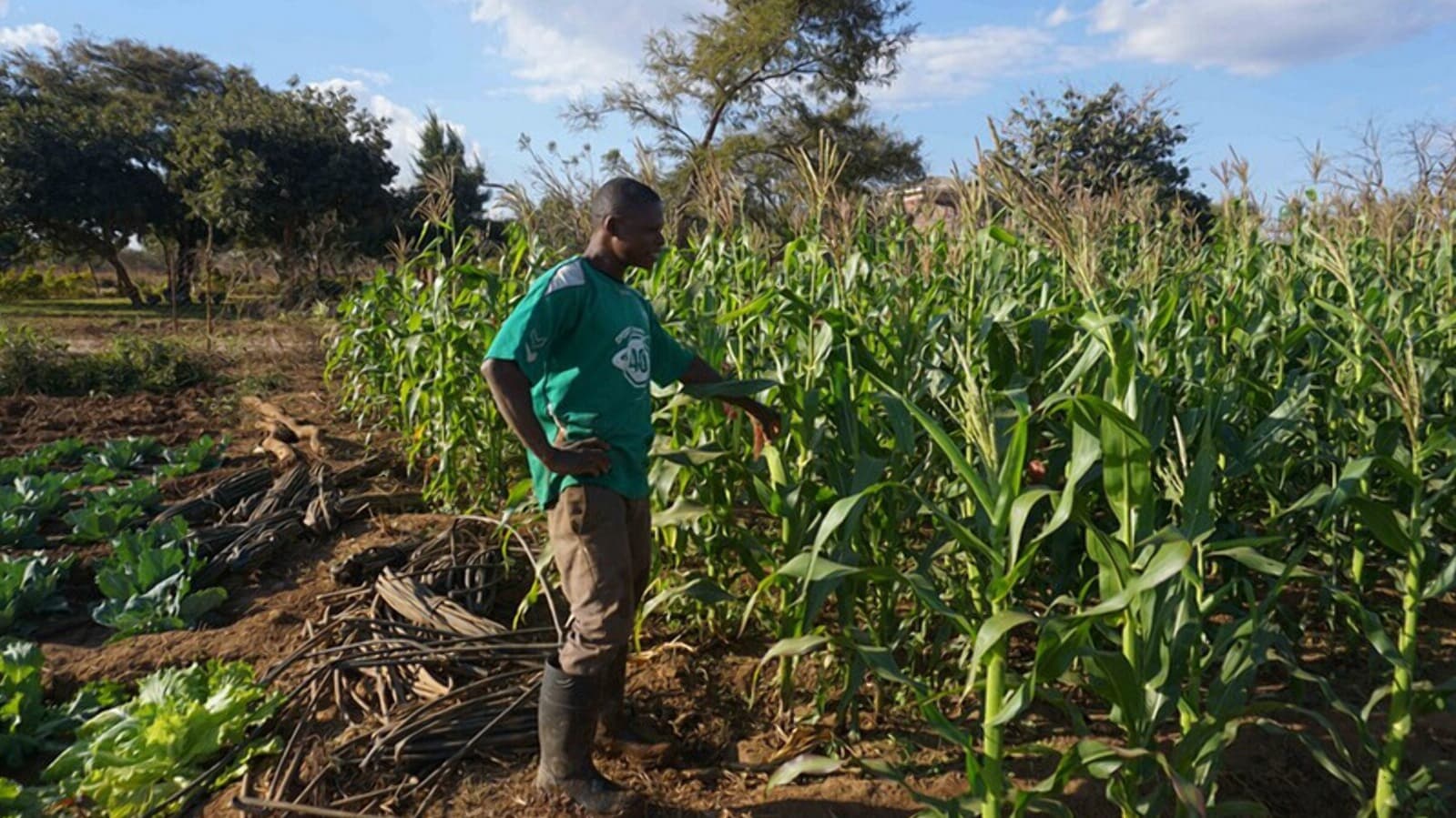 Kenya among Eastern, Southern Africa countries facing grain shortage