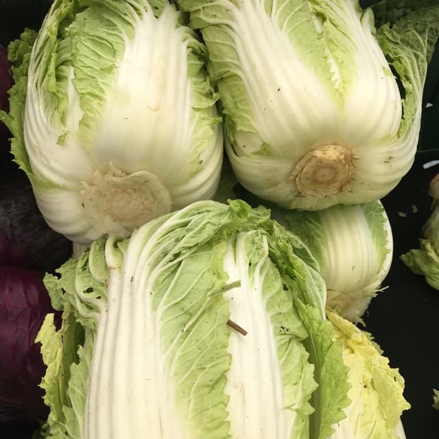 Limuru farmer targets Chinese with unique cabbage to grow income