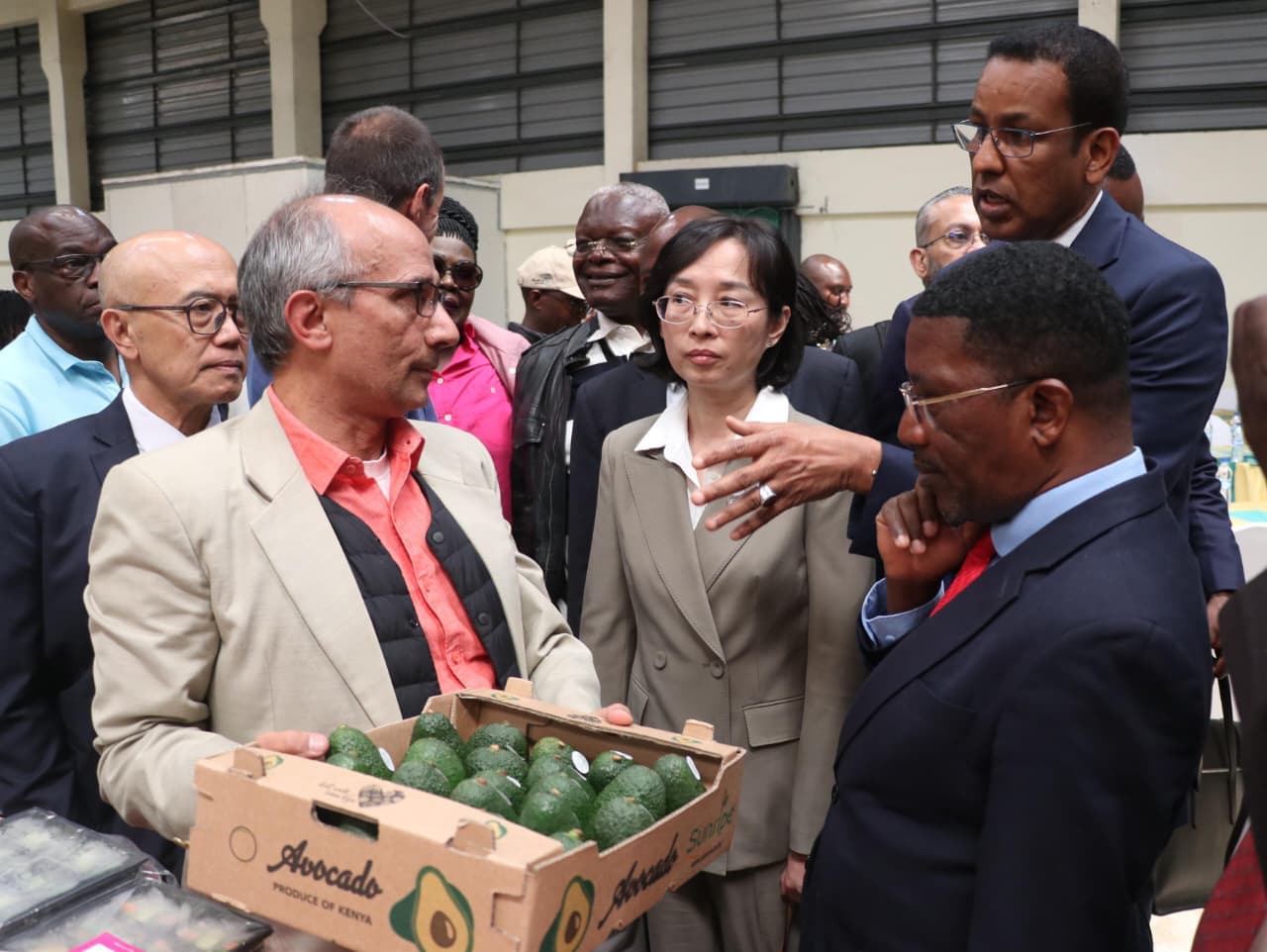 China’s zero-tariff policy drives surge in Kenyan avocado and coffee exports