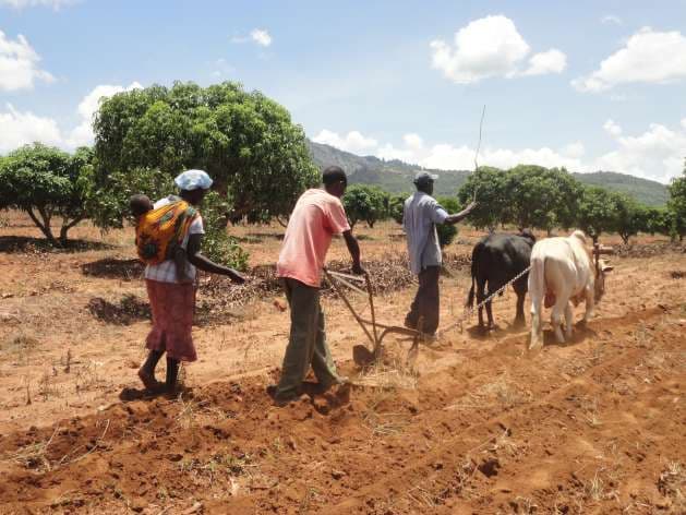 Western Kenya to receive rains for the next four days, says Weatherman