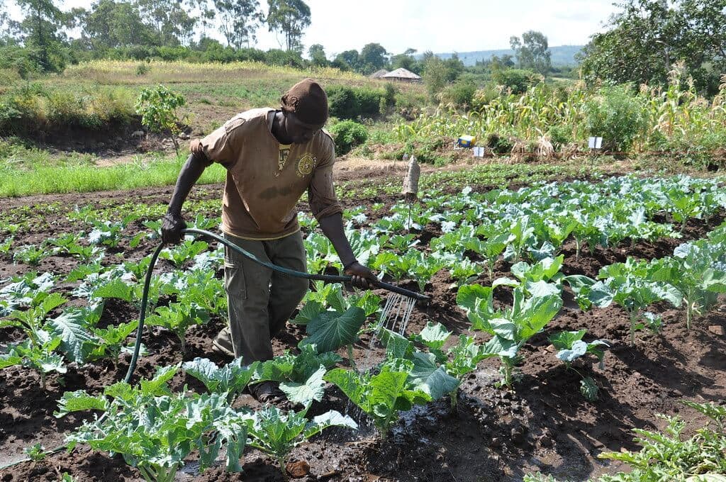 State reverses plans on horticulture standard being mandatory for farmers