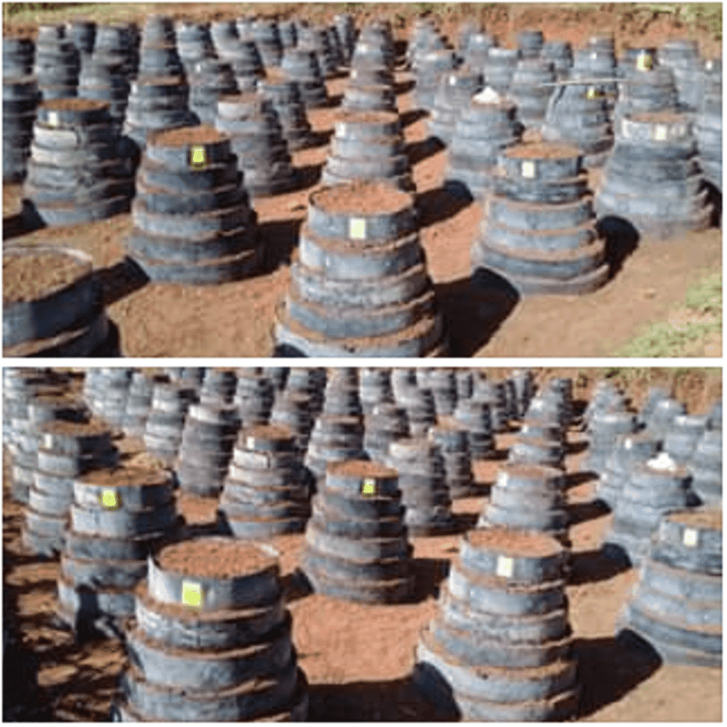 Former electrician invents new multi-storey gardening farming technology using dam liners