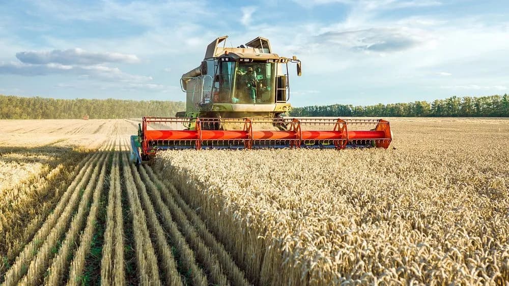 Nigeria approves 57 new crop varieties to boost food security and agricultural productivity