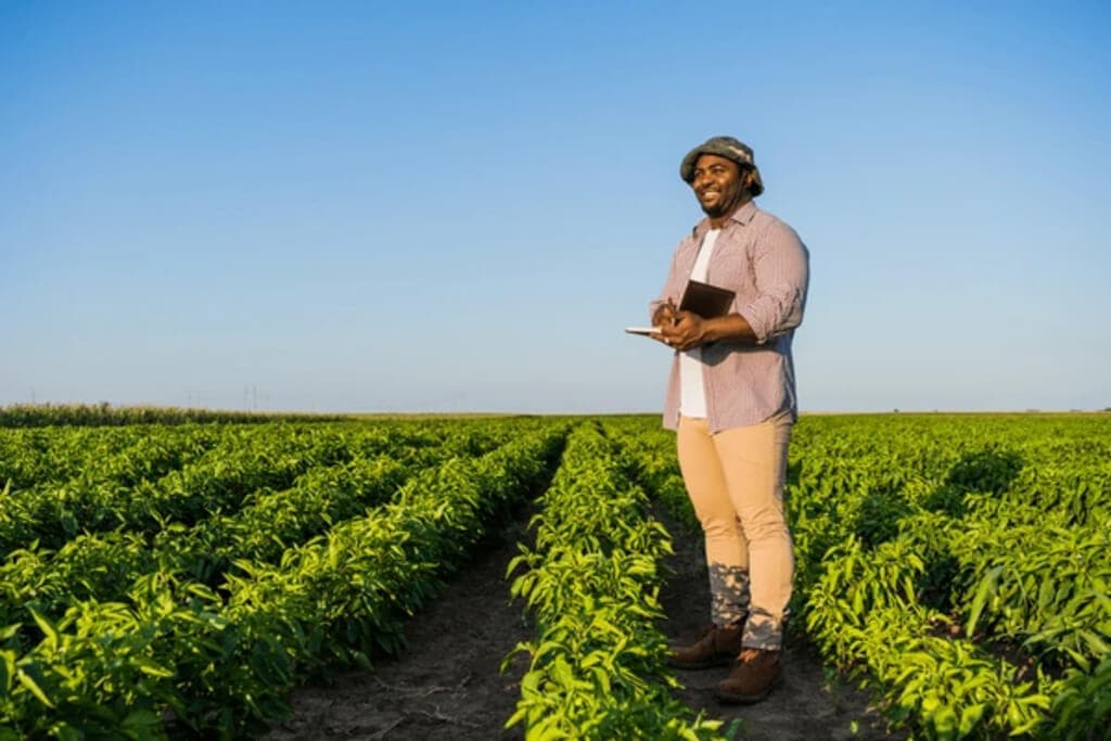 Roundup agriculture jobs in Kenya -29th July, 2025