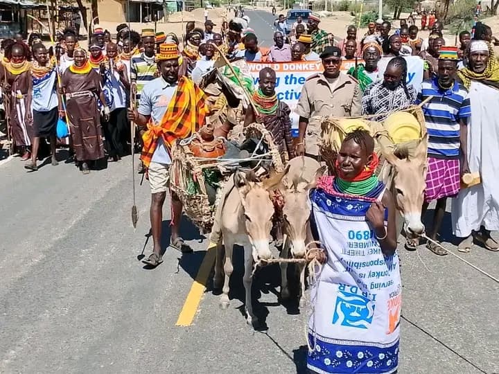 Donkeys digital knowledge hub launched in Turkana