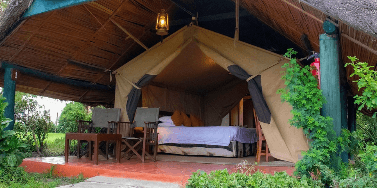 Kenya’s Hidden Gems: Sweetwaters Serena Camp With Luxury Stays from Ksh35k Per Night