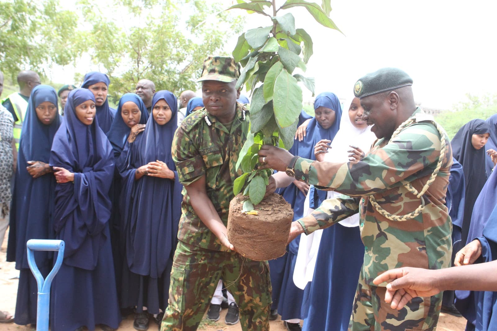 Tree planting initiates nature-based income, Kenyans told