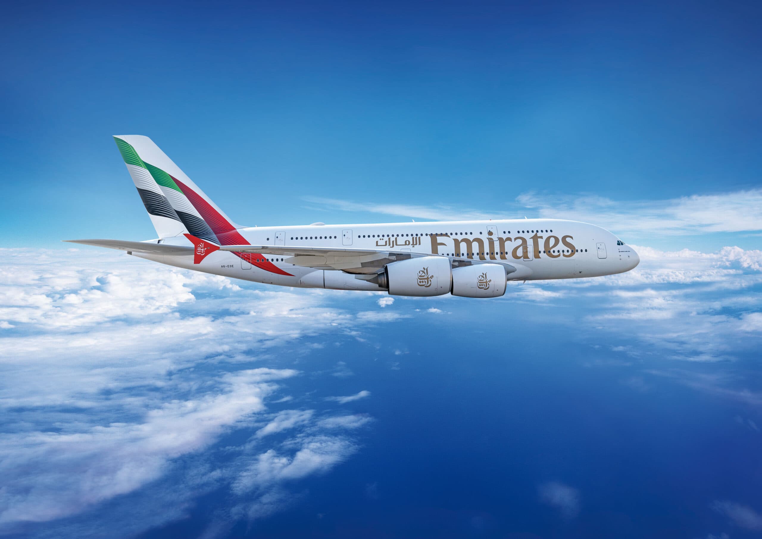 The Donkey Sanctuary & Emirates partner to combat trafficking of donkey skins