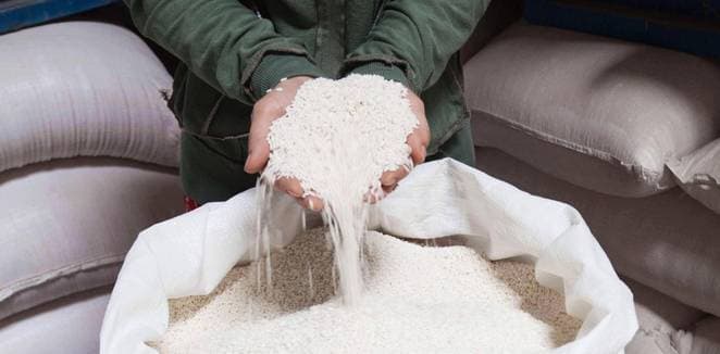 Zero Fly storage bags to reduce post harvest loses by 30%