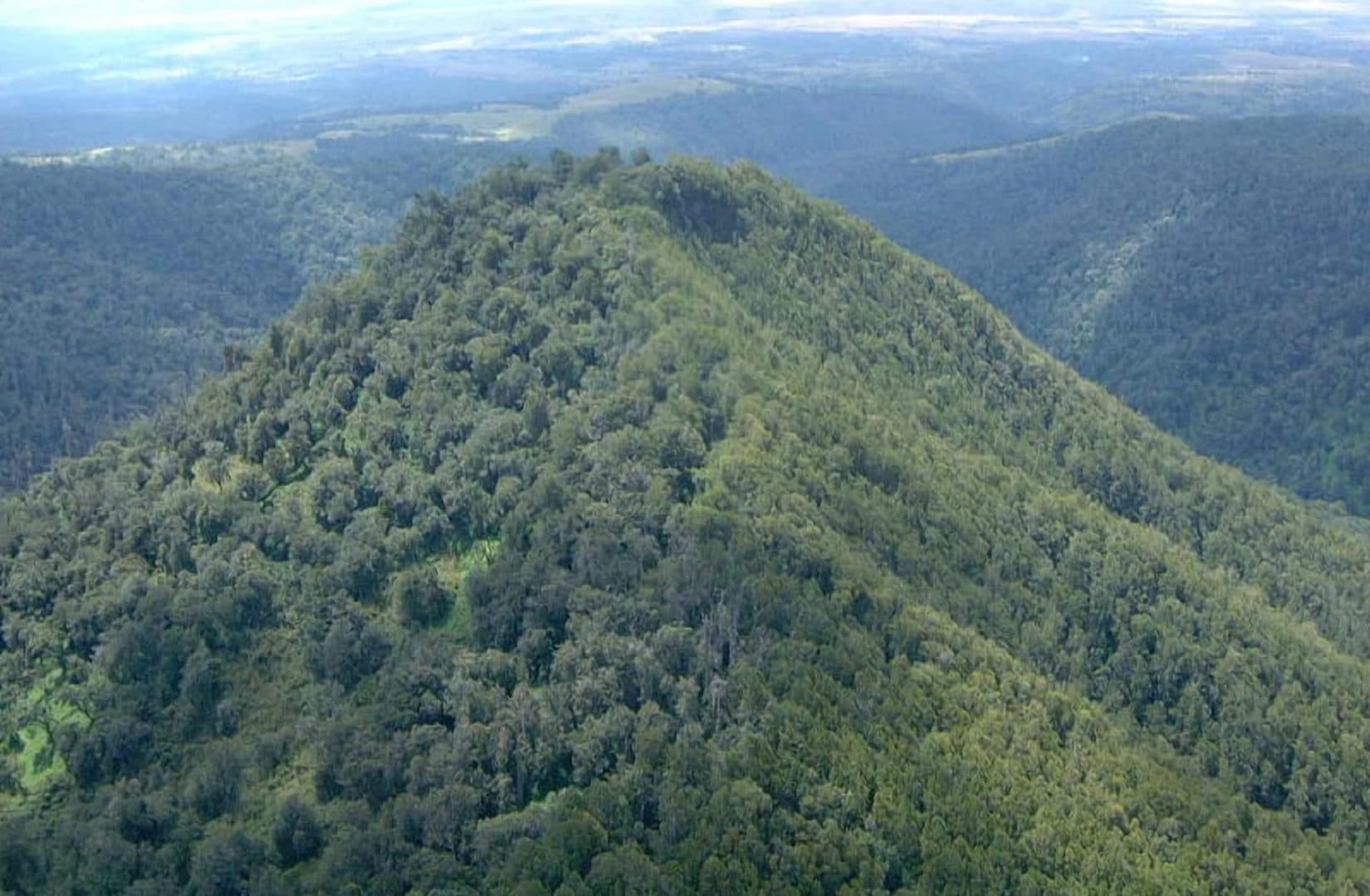 State proposes to provide loans, land rate relief for private forest owners