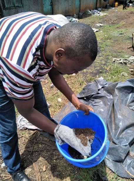 Farmer earns Sh100,000 a month from selling pig, cow and chicken feeds