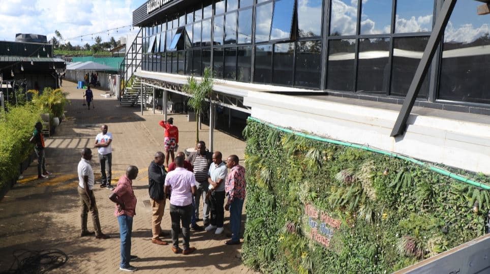 Court Orders Arrest of Habanos Lounge Director for Defying Noise Pollution Ruling