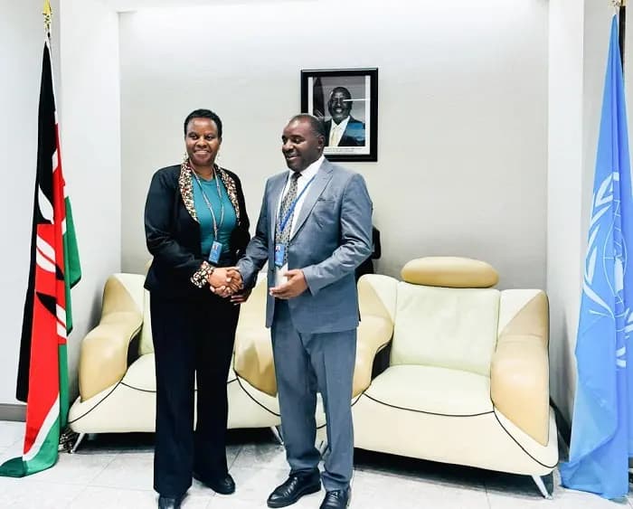 Kenyan Man Timothy Ekesa Elected Into Powerful UN Body in NY