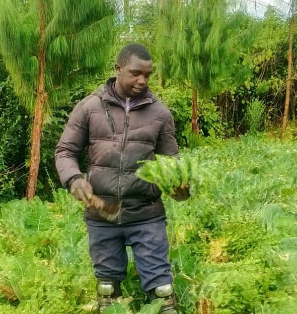 Nyandarua farmer eliminates East Africa’s top crop pest – with fennel