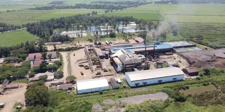 PHOTO STORY: Chemelil Sugar Revival Breathes New Life Into Kenya’s Sugar Belt
