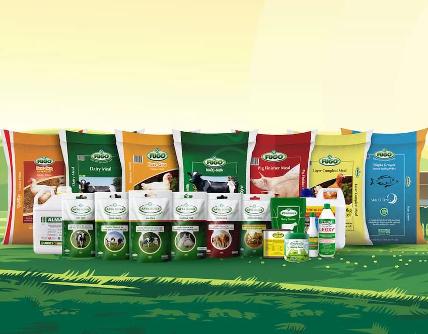 Ndegwa Family’s Milling Giant Springs Back to Profitability