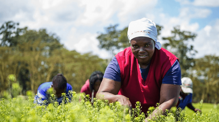 ENI Kenya banks Sh31.96B for Agri-Feedstock Project
